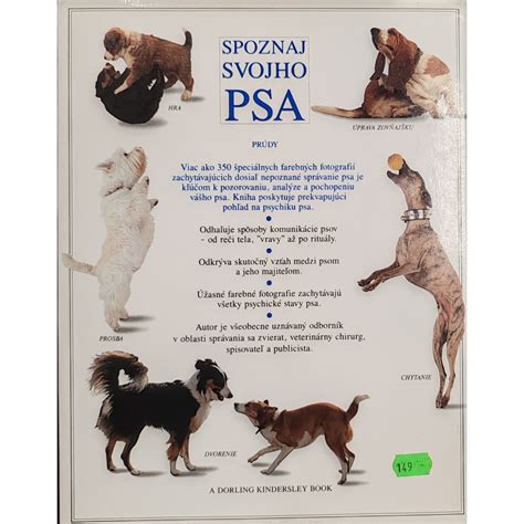 Stretnutie majiteľov psov