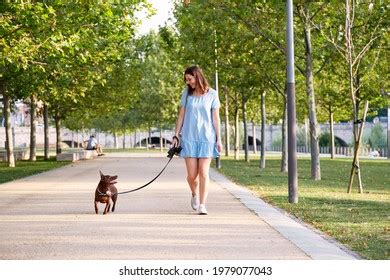 Pes s majiteľom v parku