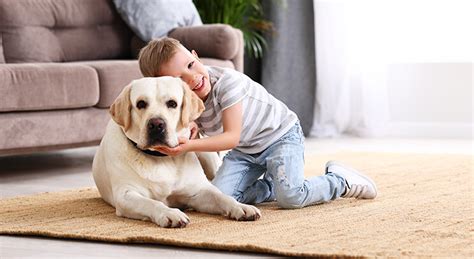 Dieťa sa mazná s labradorským retrieverom