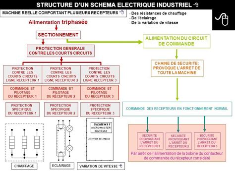 Schéma porovnania stôp vlka a psa