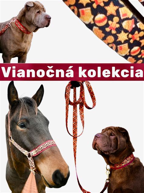 Ilustrácia obojkov pre psov