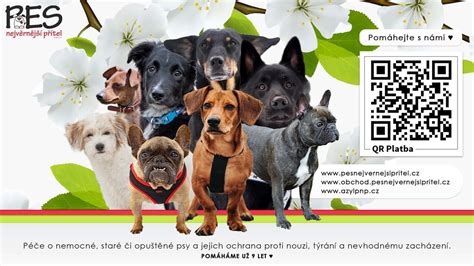 Zákony a psy na pozemku