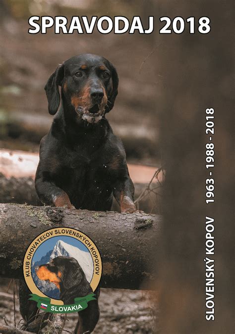 Hlava slovenského kopova