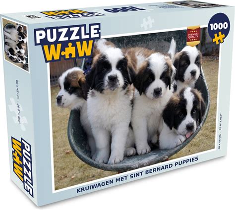 Šteňa bernardína hrajúce sa