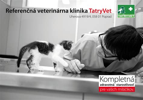 Ilustrácia príznakov pyometry u sučky