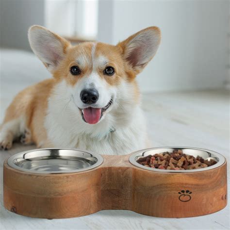 Miska s kvalitným psím krmivom