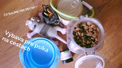 Základná výbava pre psa