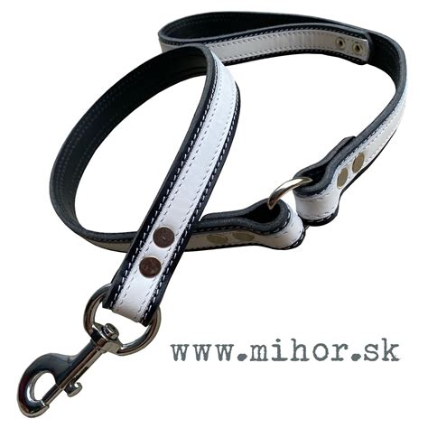 Ilustrácia psa s koženým obojkom