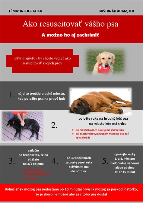 Infografika: Požiadavky na pohyb a starostlivosť o Veľkého švajčiarskeho salašníckeho psa