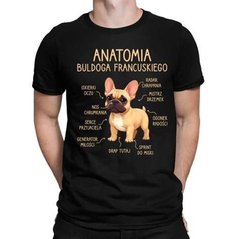 Schéma anatómie francúzskeho buldočka