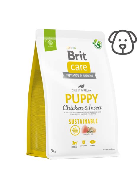 Šteňa konzumujúce krmivo Brit Care Puppy