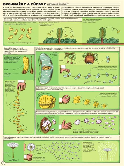 Ukážka preukazu pôvodu psa s hologramom a vodoznakom