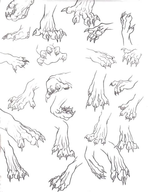 Ilustrácia psích labiek s pazúrmi