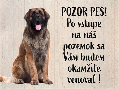 Pes strážiaci pozemok