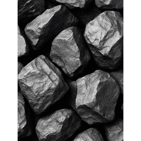 Čierne uhlie pre psa