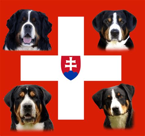 História švajčiarskych salašníckych psov