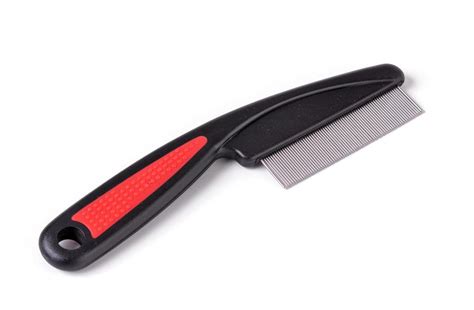 Šteňa s hrebeňom na blchy