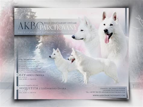 Výcvik slovenského ovčiaka