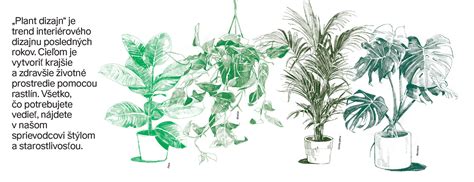 Ilustrácia rôznych jedovatých rastlín pre psov