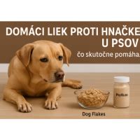 Preventívne opatrenia proti hnačke u psov