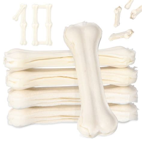 Ilustrácia psa žuvajúceho kosť