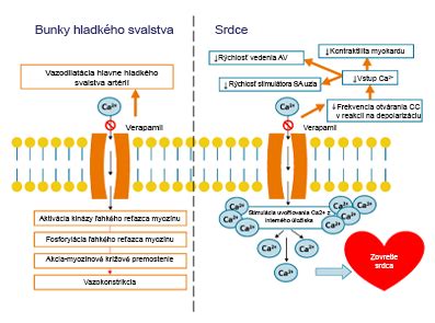 Štruktúra antiparazitického obojku a mechanizmus účinku