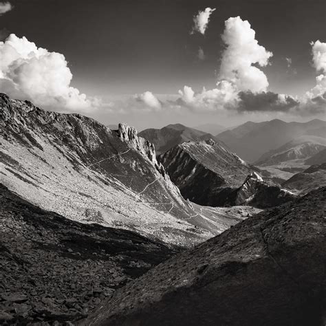 Čiernobiela fotografia starého poľovníckeho psa