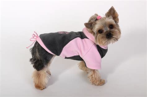 Šteňa v teplom oblečku