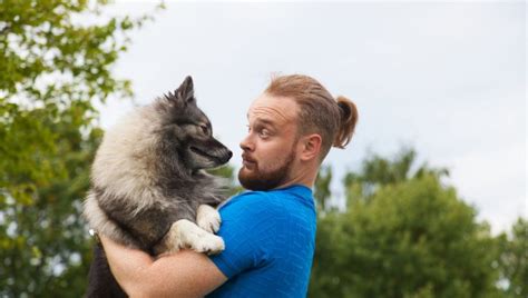 Pes a človek v interakcii