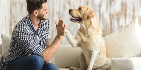 Rodina hrajúca sa so psom