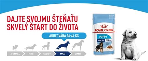 Vývoj šteňaťa veľkého plemena