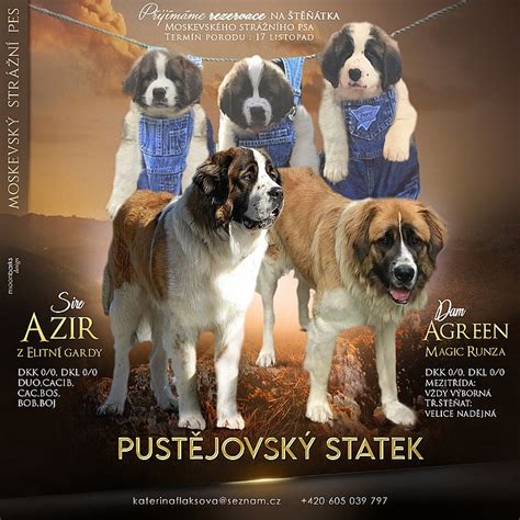 Pes s bledými ďasnami a letargický