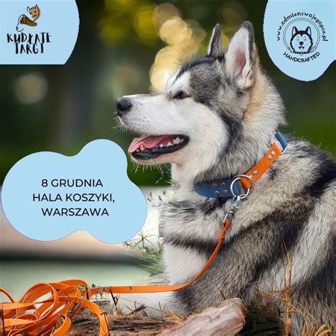 Ilustrácia procesu učenia psa pomocou odmien