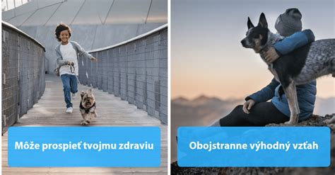 Ilustrácia rôznych dôvodov štekania psa