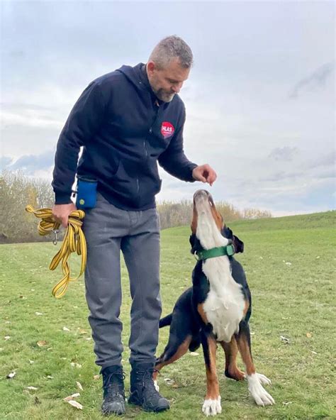 Majiteľ cvičí psa s pozitívnym posilnením