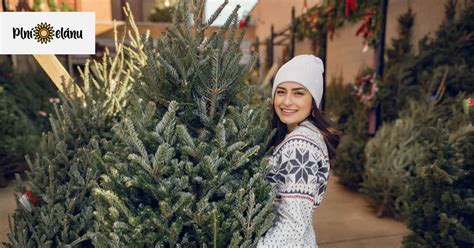 obchodík s vianočnými stromčekmi