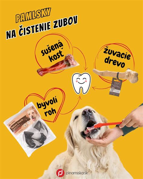 Rôzne druhy psích pamlskov