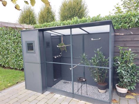 ilustrácia psa vo voliere