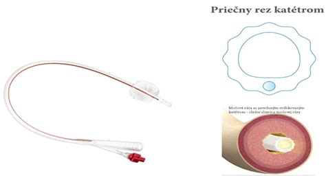 Rôzne typy urien pre zvieratá