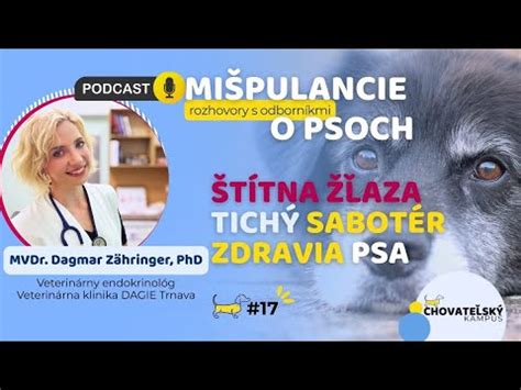 prehľad zdravia psov