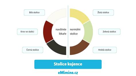 Infografika zobrazujúca kroky diagnostiky u psa s krvácaním v stolici