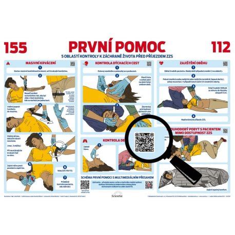Schéma postupov prvej pomoci pri uhryznutí