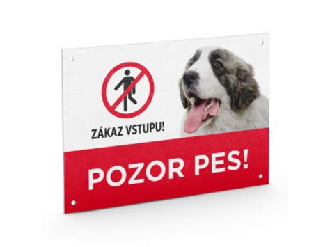 Pes preskakujúci plot