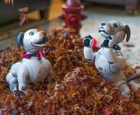 SONY AIBO: ilustrácia novšej generácie so systémom učenia a kamerou
