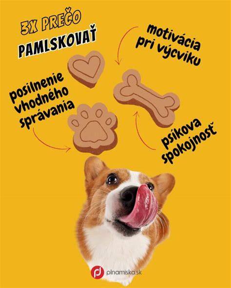 Infografika: Typy odmien pri výcviku psa (pamlsky, hra, pochvala)