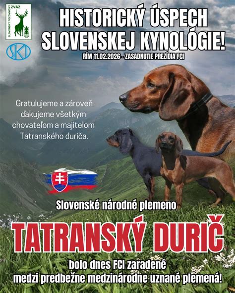 Infografika: Porovnanie exteriéru a práce tatranského duriča a kopova