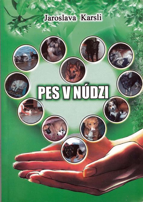 limitovaná edícia ponožiek Pes v núdzi - produktové foto