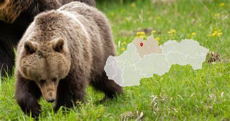 Mapa oblastí s vyznačenými zónami pre voľný pohyb psov a miestami s povinnou vôdzkou
