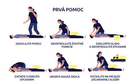 Obrázok znázorňujúci ABC postup pri poskytovaní prvej pomoci psovi