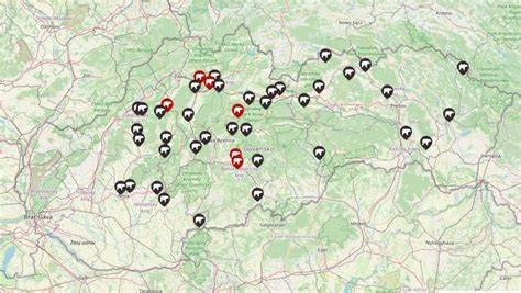 Mapa služieb: Kde nájsť veterinára a kde hľadať špecializovanú starostlivosť